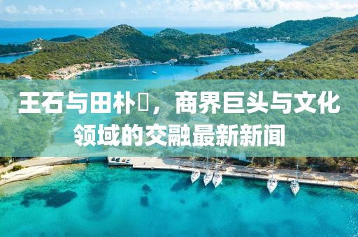 王石與田樸琤，商界巨頭與文化領(lǐng)域的交融最新新聞