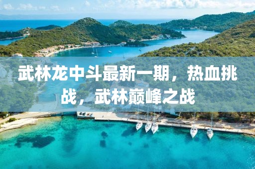 武林龍中斗最新一期，熱血挑戰(zhàn)，武林巔峰之戰(zhàn)
