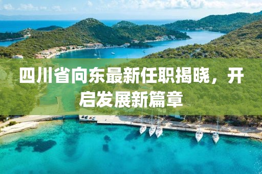四川省向東最新任職揭曉，開啟發(fā)展新篇章