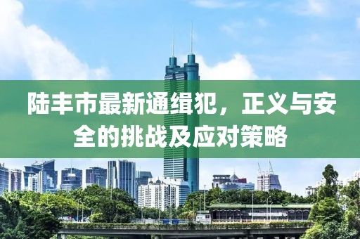 陸豐市最新通緝犯，正義與安全的挑戰(zhàn)及應(yīng)對(duì)策略
