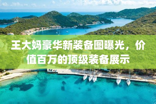 王大媽豪華新裝備圖曝光，價(jià)值百萬(wàn)的頂級(jí)裝備展示