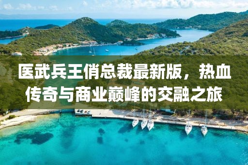 醫(yī)武兵王俏總裁最新版，熱血傳奇與商業(yè)巔峰的交融之旅