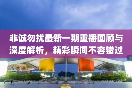 非誠勿擾最新一期重播回顧與深度解析，精彩瞬間不容錯過