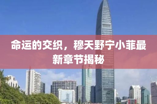 命運(yùn)的交織，穆天野寧小菲最新章節(jié)揭秘