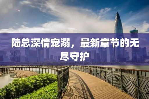 陸總深情寵溺，最新章節(jié)的無(wú)盡守護(hù)