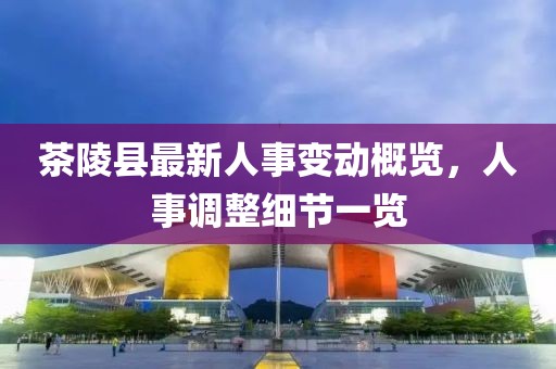 茶陵縣最新人事變動概覽，人事調(diào)整細節(jié)一覽