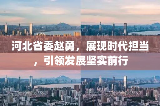 河北省委趙勇，展現(xiàn)時代擔當，引領(lǐng)發(fā)展堅實前行