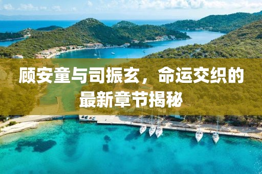 顧安童與司振玄，命運交織的最新章節(jié)揭秘