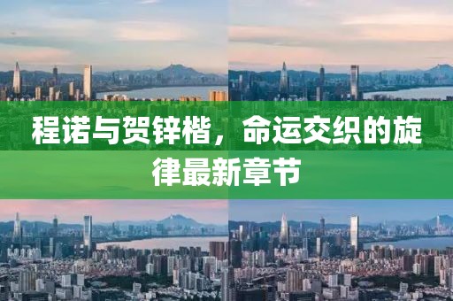 程諾與賀鋅楷，命運交織的旋律最新章節(jié)