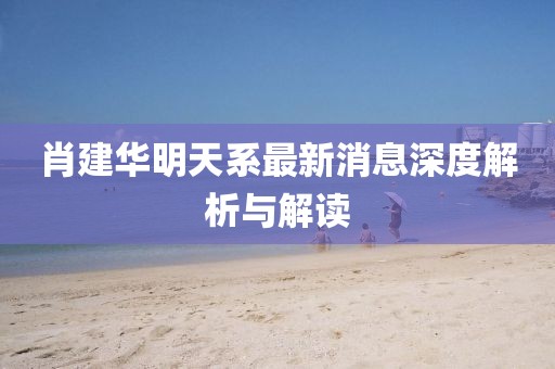 肖建華明天系最新消息深度解析與解讀
