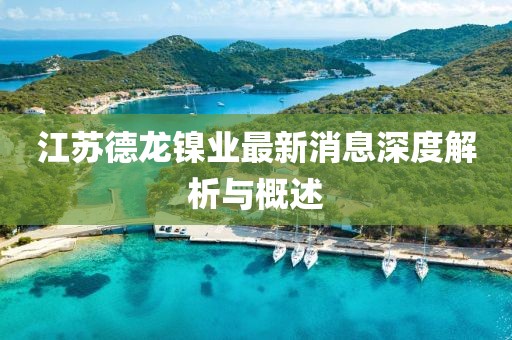 江蘇德龍鎳業(yè)最新消息深度解析與概述