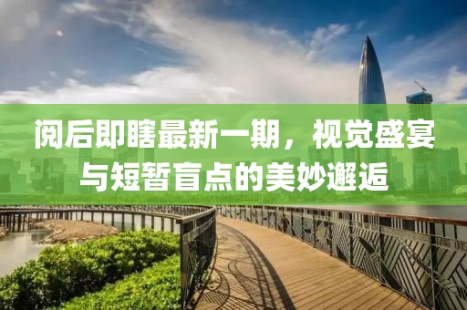閱后即瞎最新一期，視覺(jué)盛宴與短暫盲點(diǎn)的美妙邂逅