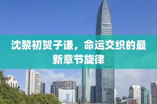 沈黎初賀子謙，命運交織的最新章節(jié)旋律