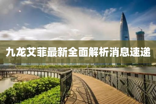 九龍艾菲最新全面解析消息速遞