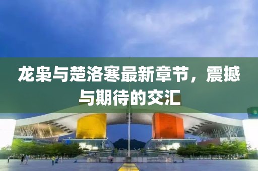 龍梟與楚洛寒最新章節(jié)，震撼與期待的交匯
