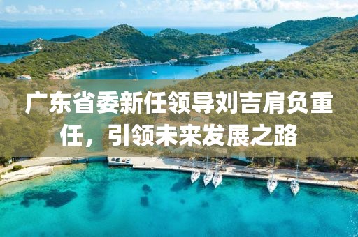 廣東省委新任領(lǐng)導(dǎo)劉吉肩負(fù)重任，引領(lǐng)未來(lái)發(fā)展之路