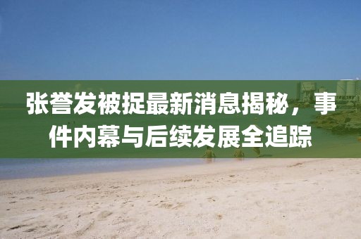 張譽發(fā)被捉最新消息揭秘，事件內(nèi)幕與后續(xù)發(fā)展全追蹤
