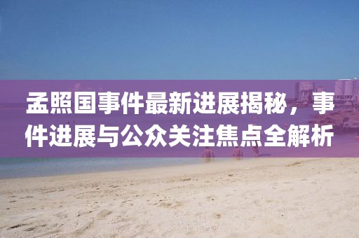孟照國事件最新進展揭秘，事件進展與公眾關注焦點全解析