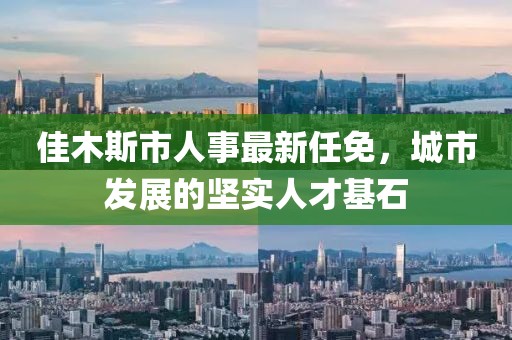 佳木斯市人事最新任免，城市發(fā)展的堅(jiān)實(shí)人才基石