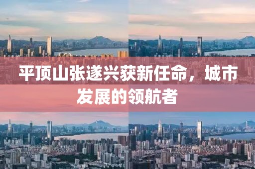 平頂山張遂興獲新任命，城市發(fā)展的領(lǐng)航者