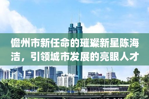 儋州市新任命的璀璨新星陳海潔，引領(lǐng)城市發(fā)展的亮眼人才