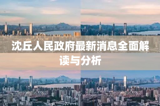 沈丘人民政府最新消息全面解讀與分析
