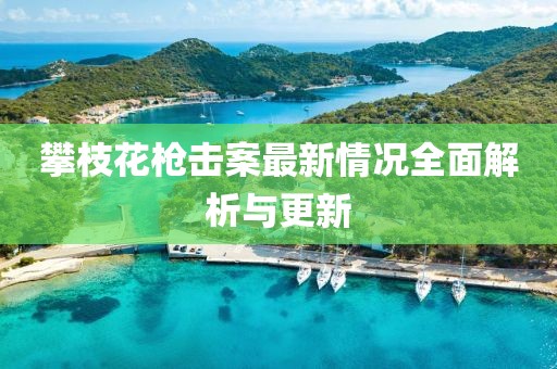 攀枝花槍擊案最新情況全面解析與更新