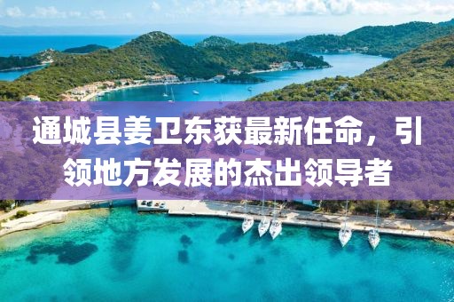 通城縣姜衛(wèi)東獲最新任命，引領地方發(fā)展的杰出領導者