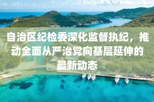 自治區(qū)紀(jì)檢委深化監(jiān)督執(zhí)紀(jì)，推動(dòng)全面從嚴(yán)治黨向基層延伸的最新動(dòng)態(tài)