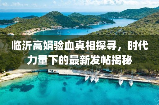 臨沂高娟驗血真相探尋，時代力量下的最新發(fā)帖揭秘