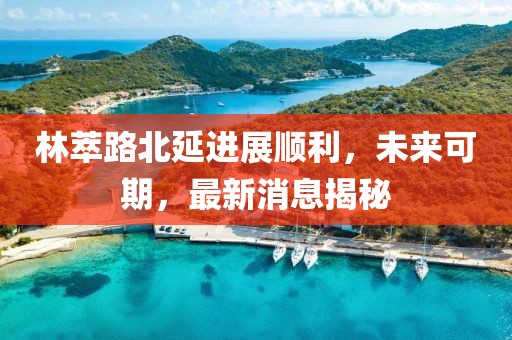 林萃路北延進(jìn)展順利，未來可期，最新消息揭秘