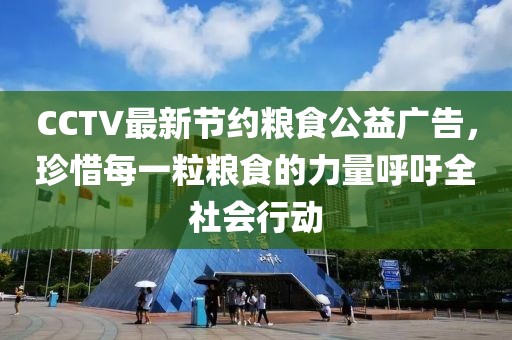 CCTV最新節(jié)約糧食公益廣告，珍惜每一粒糧食的力量呼吁全社會行動