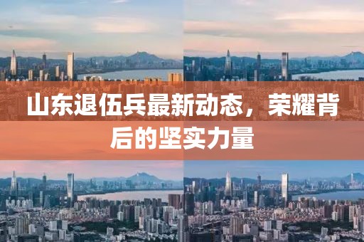 山東退伍兵最新動(dòng)態(tài)，榮耀背后的堅(jiān)實(shí)力量
