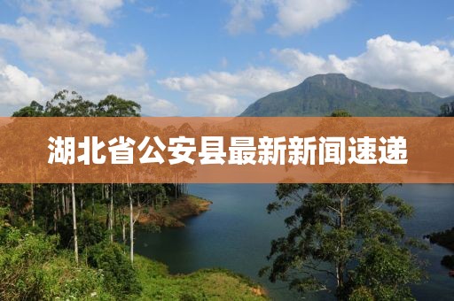 湖北省公安縣最新新聞速遞