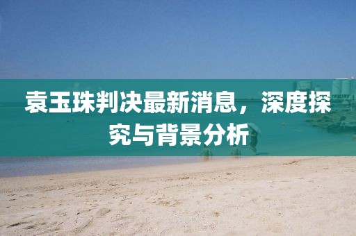 袁玉珠判決最新消息，深度探究與背景分析