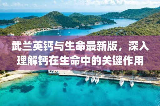 武蘭英鈣與生命最新版，深入理解鈣在生命中的關(guān)鍵作用