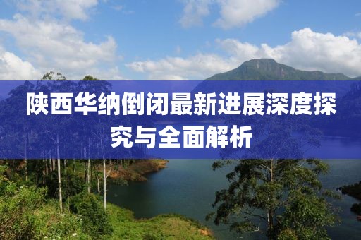 陜西華納倒閉最新進展深度探究與全面解析