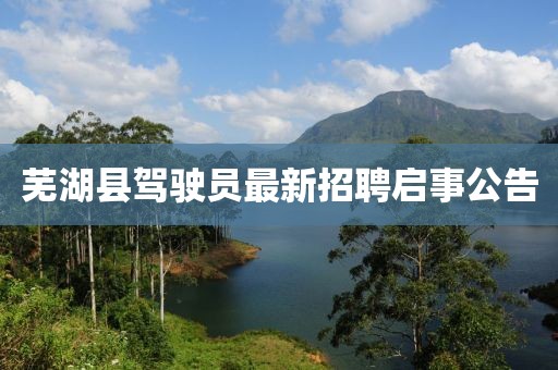 蕪湖縣駕駛員最新招聘啟事公告