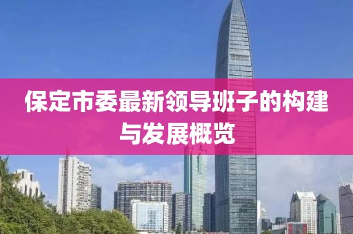 保定市委最新領(lǐng)導(dǎo)班子的構(gòu)建與發(fā)展概覽