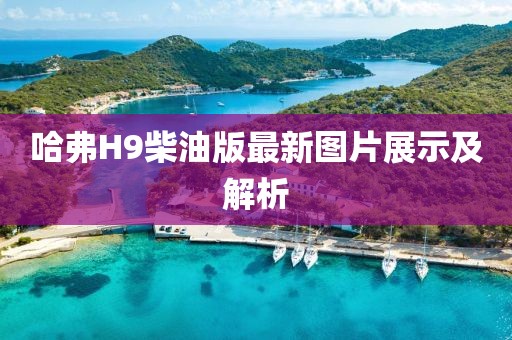 哈弗H9柴油版最新圖片展示及解析