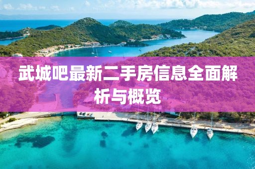 武城吧最新二手房信息全面解析與概覽