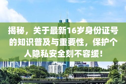 揭秘，關(guān)于最新16歲身份證號的知識普及與重要性，保護個人隱私安全刻不容緩！