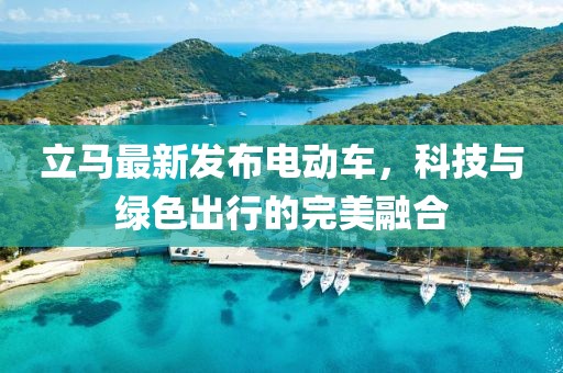 立馬最新發(fā)布電動(dòng)車，科技與綠色出行的完美融合