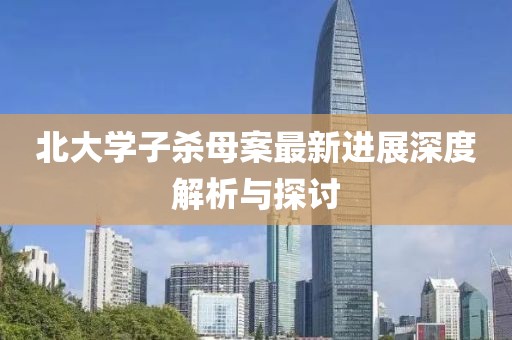 北大學(xué)子殺母案最新進展深度解析與探討