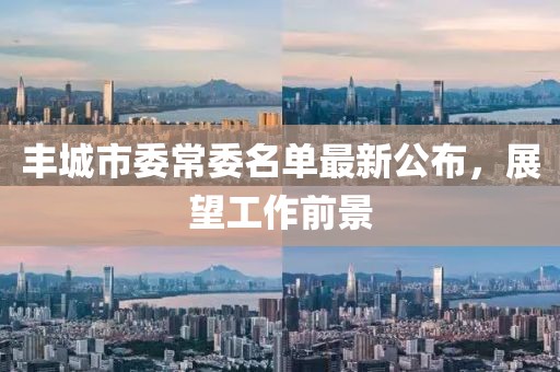 豐城市委常委名單最新公布，展望工作前景