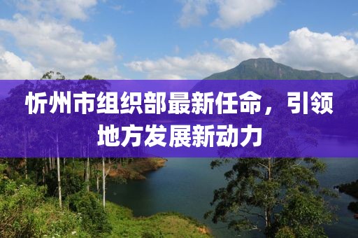 忻州市組織部最新任命，引領(lǐng)地方發(fā)展新動(dòng)力