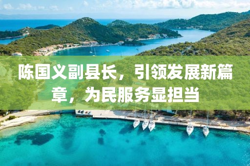 陳國義副縣長，引領(lǐng)發(fā)展新篇章，為民服務(wù)顯擔(dān)當(dāng)