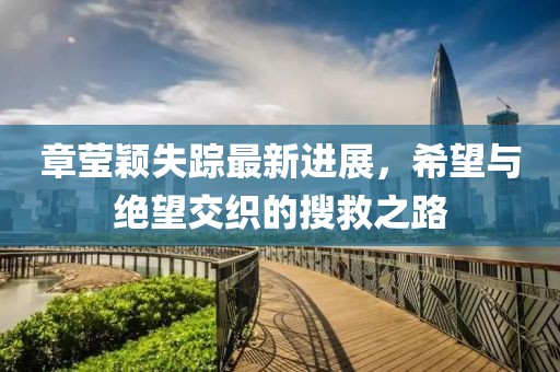 章瑩穎失蹤最新進展，希望與絕望交織的搜救之路