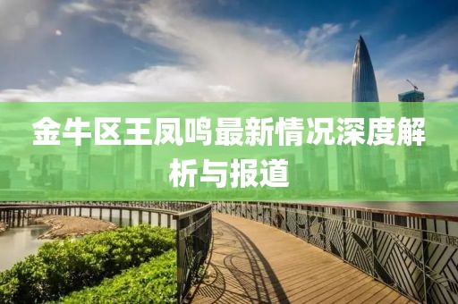 金牛區(qū)王鳳鳴最新情況深度解析與報(bào)道