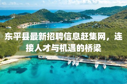 東平縣最新招聘信息趕集網(wǎng)，連接人才與機遇的橋梁